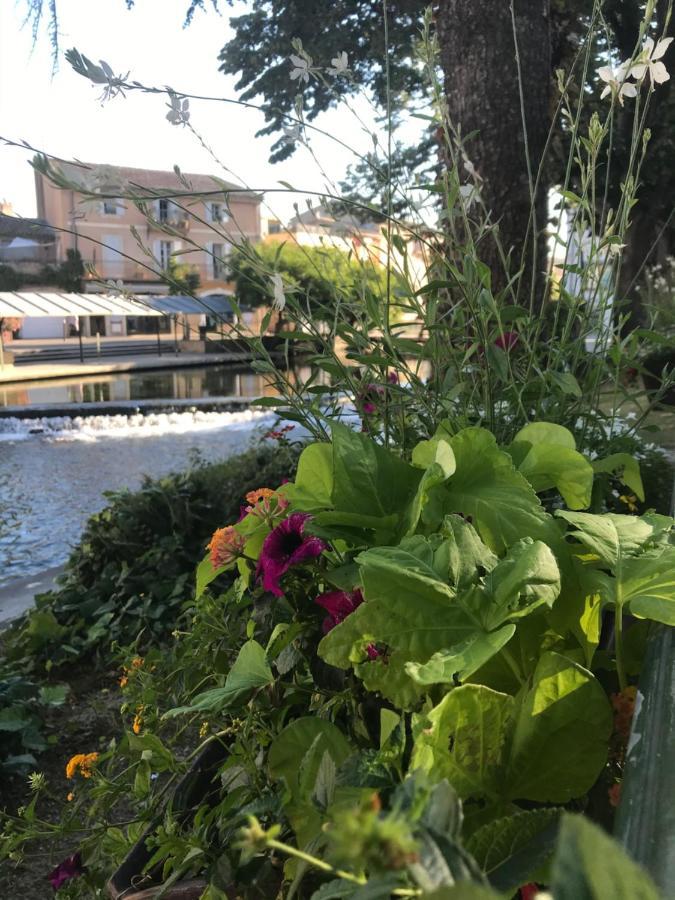 Ferienwohnung Petit Reve LʼIsle-sur-la-Sorgue Exterior foto